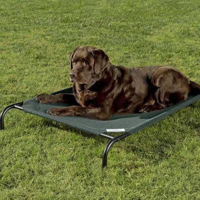 Coolaroo Cama Elevada para Mascotas Grande | Transpirable | Exterior